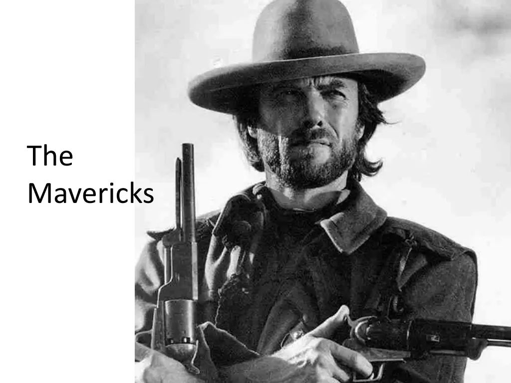 the mavericks