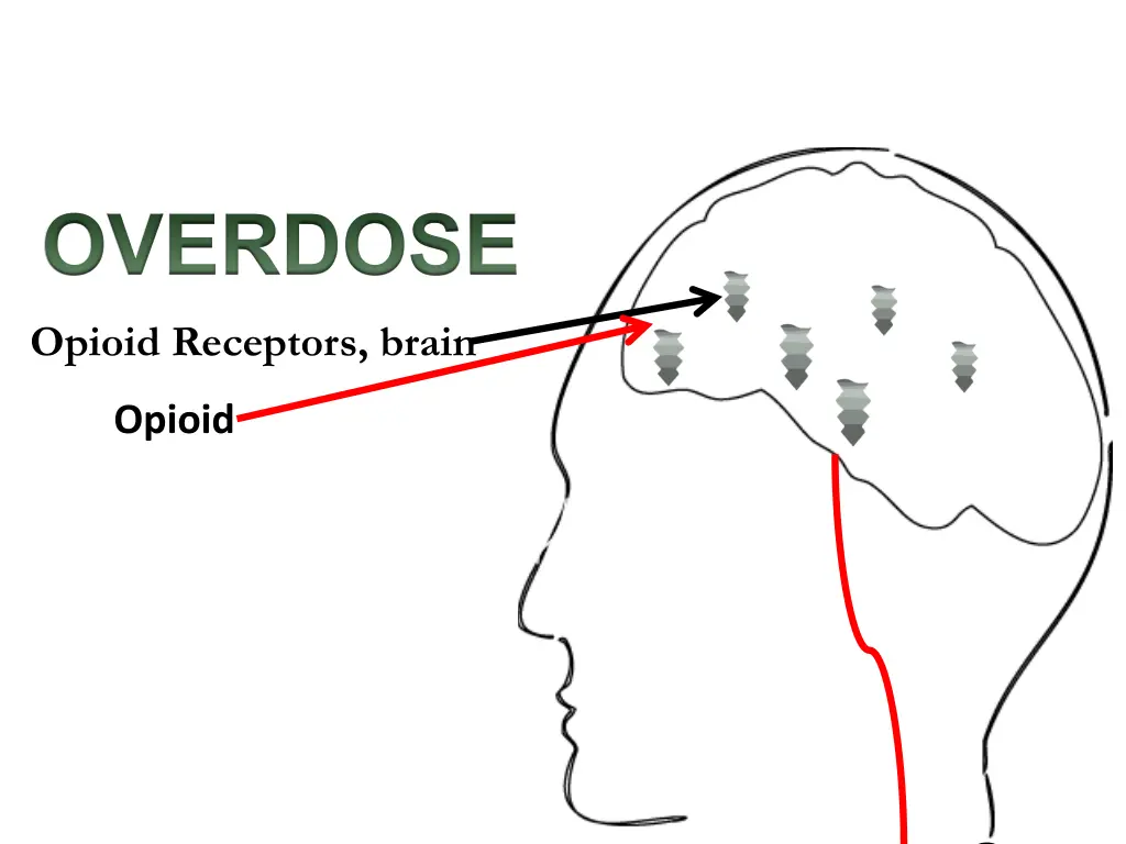how do opioids affect breathing