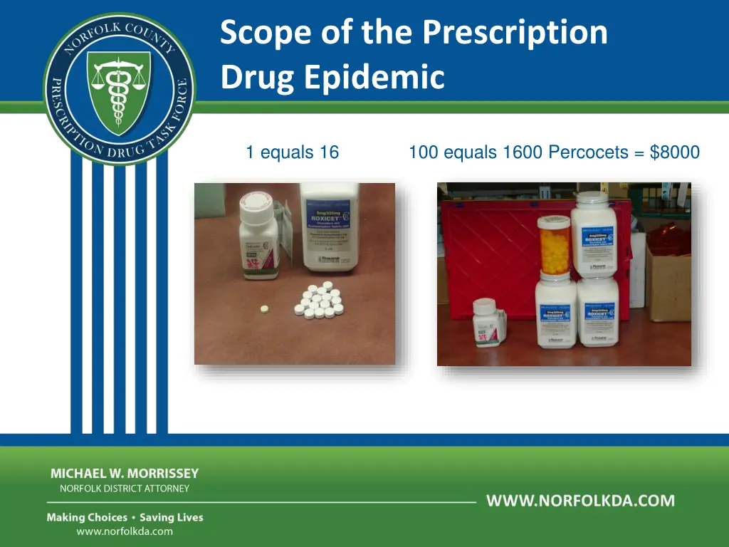 scope of the prescription drug epidemic