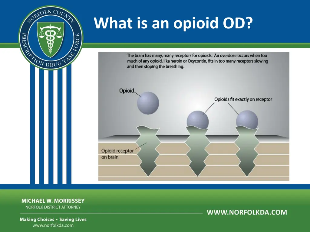 what is an opioid od