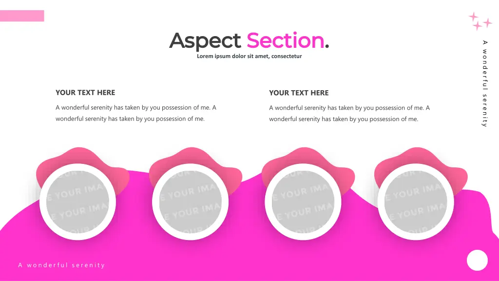 aspect aspect section section lorem ipsum dolor