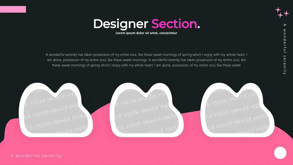 designer designer section lorem ipsum dolor