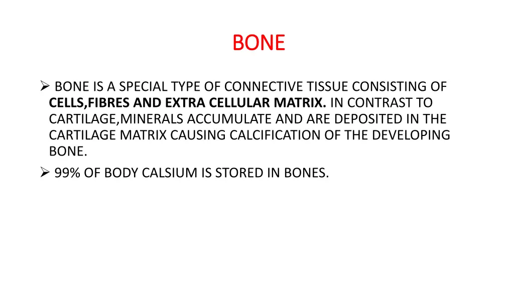 bone bone