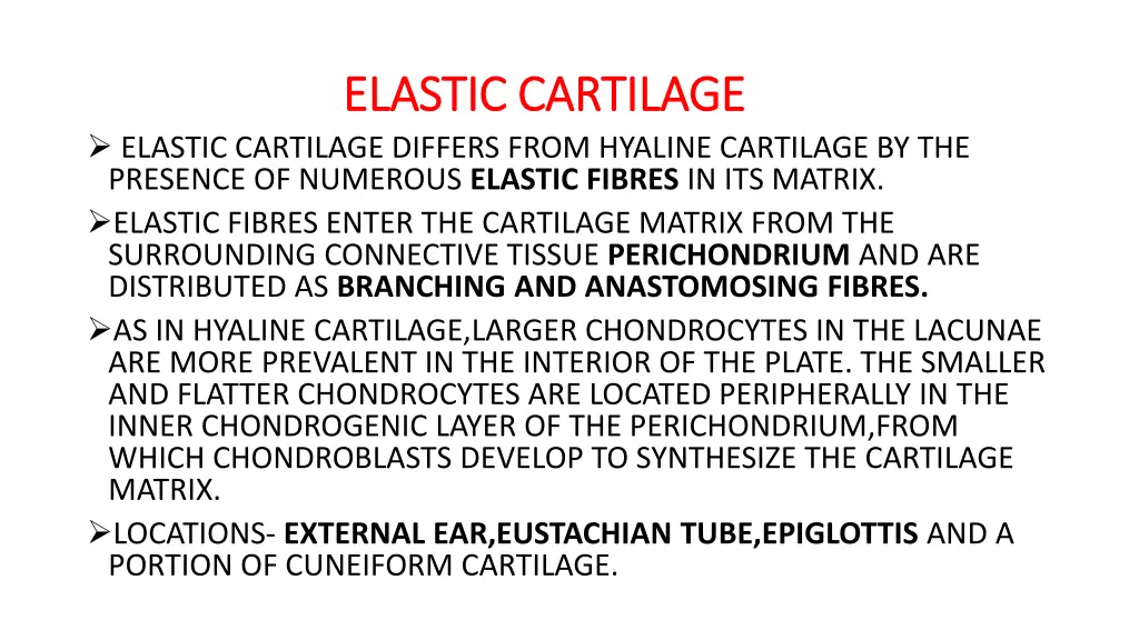 elastic cartilage elastic cartilage
