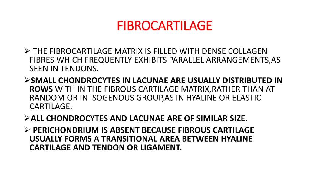 fibrocartilage fibrocartilage