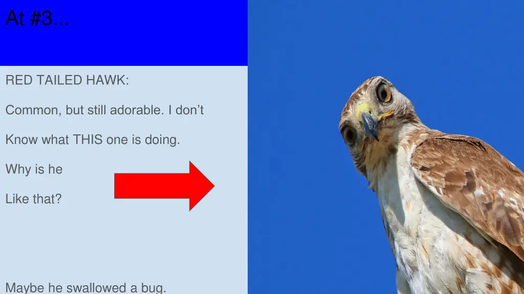 slide10