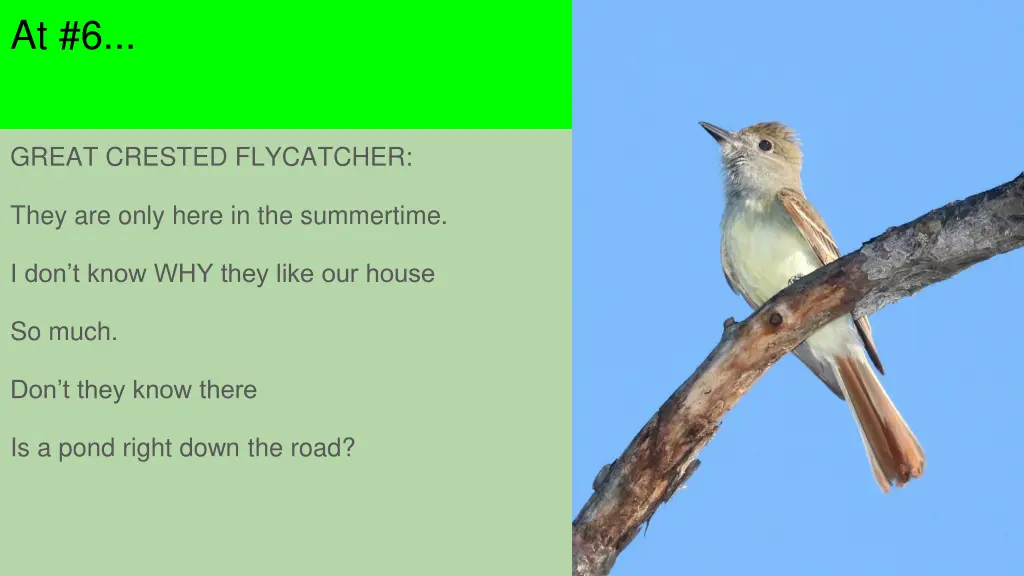 slide7