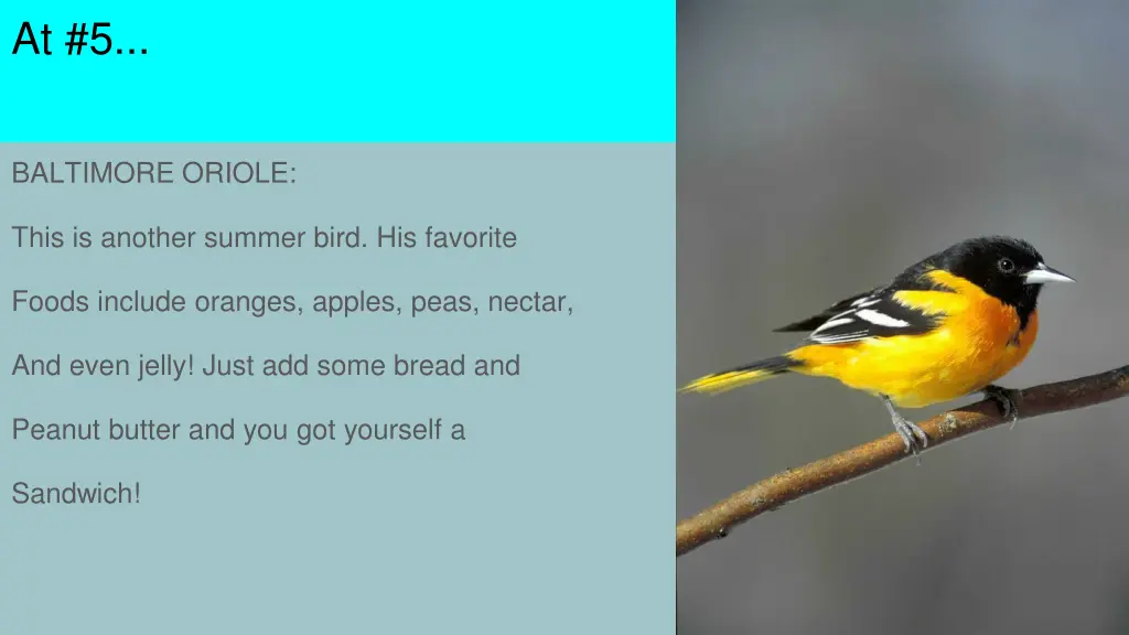 slide8
