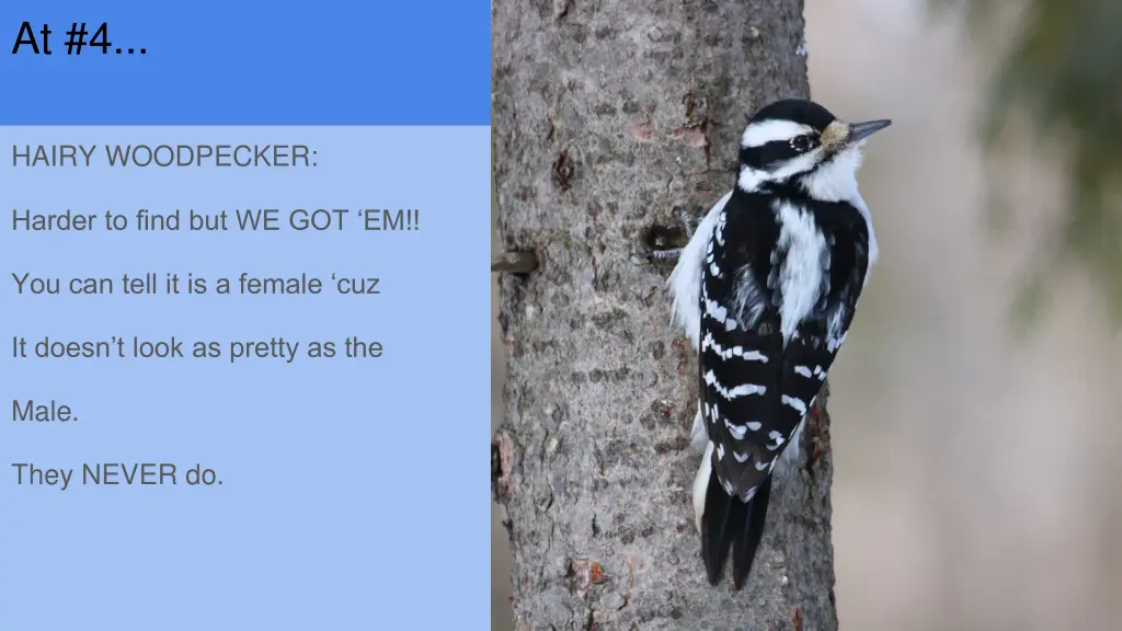slide9