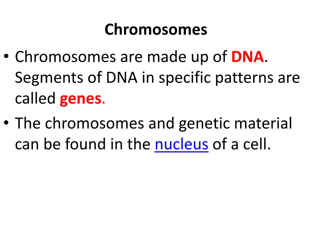 chromosomes