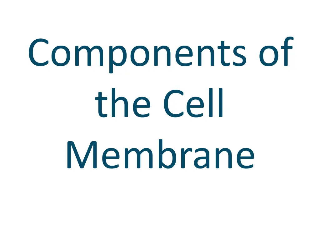 components of the cell membrane