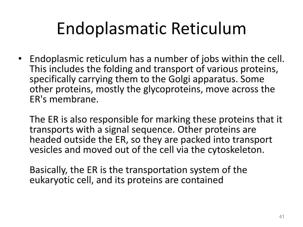 endoplasmatic reticulum 1