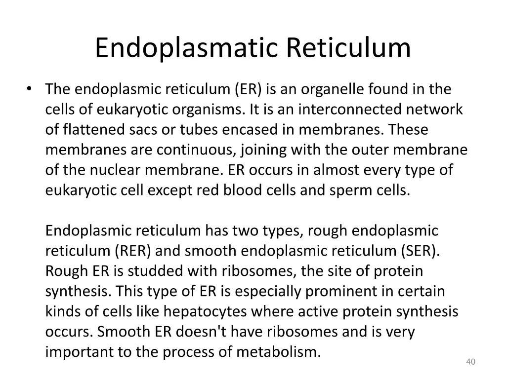 endoplasmatic reticulum