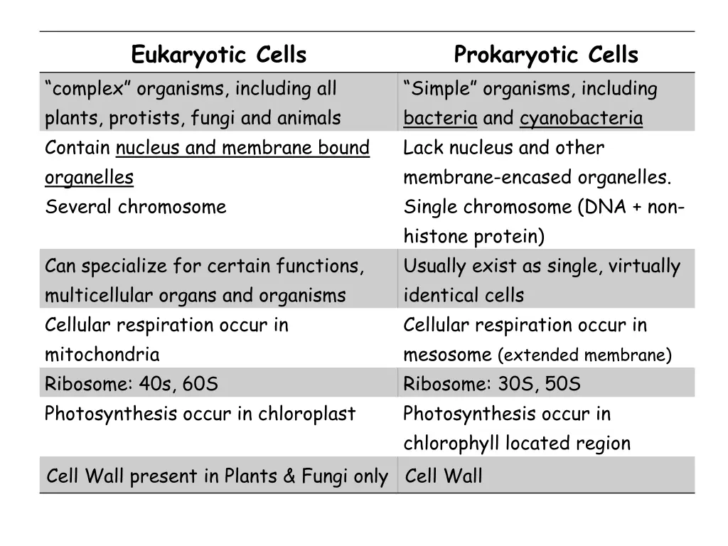 eukaryotic cells complex organisms including