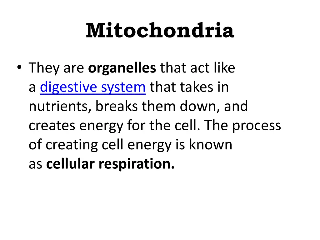 mitochondria