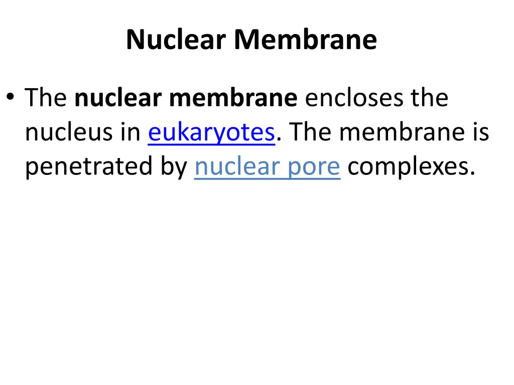 nuclear membrane