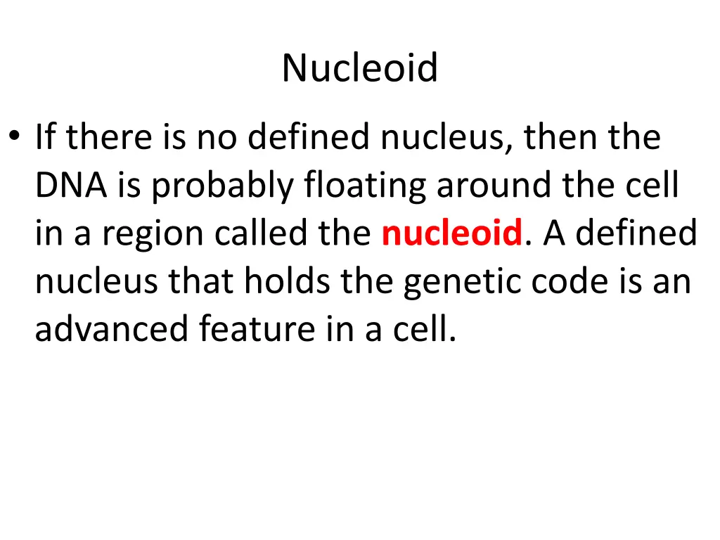 nucleoid