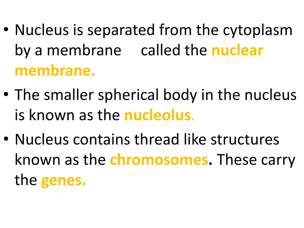 nucleus is separated from the cytoplasm