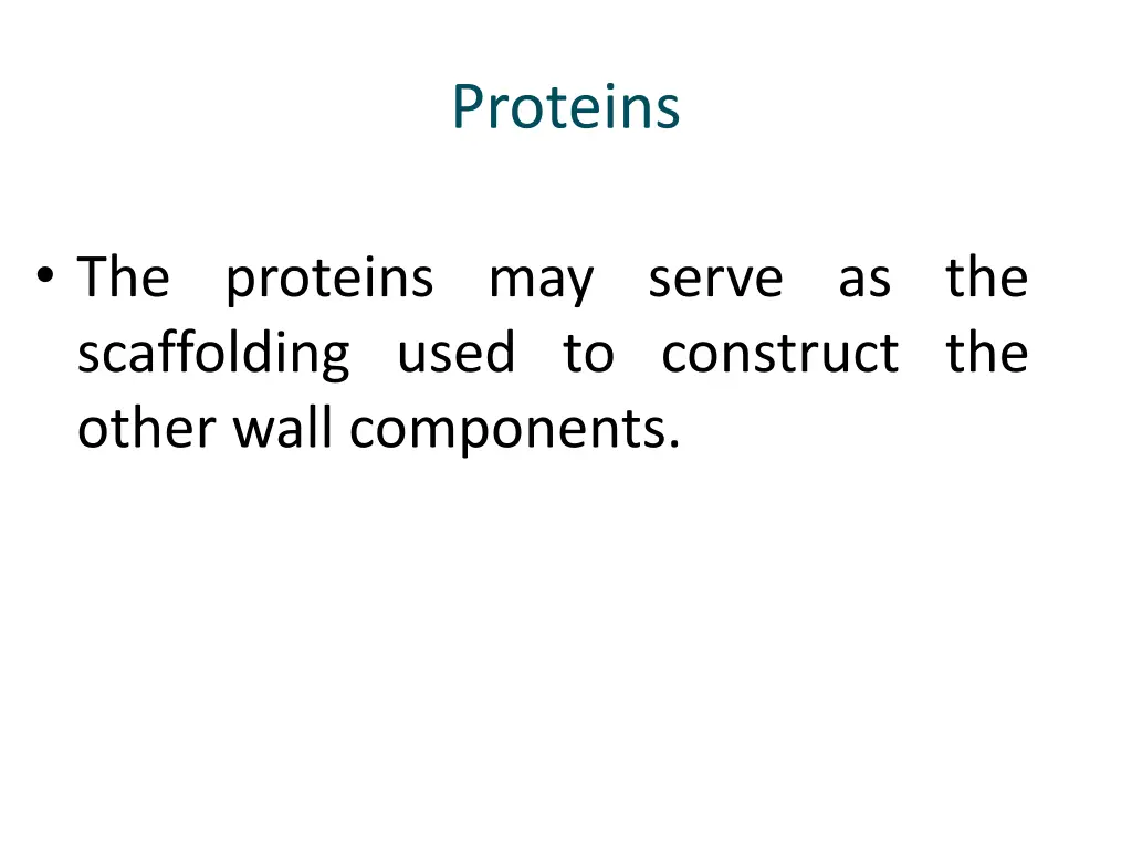 proteins