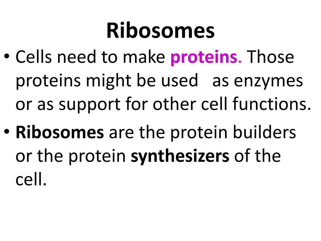 ribosomes