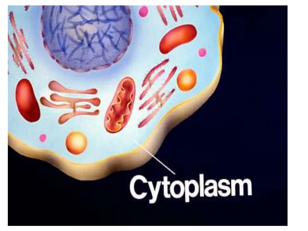 slide33