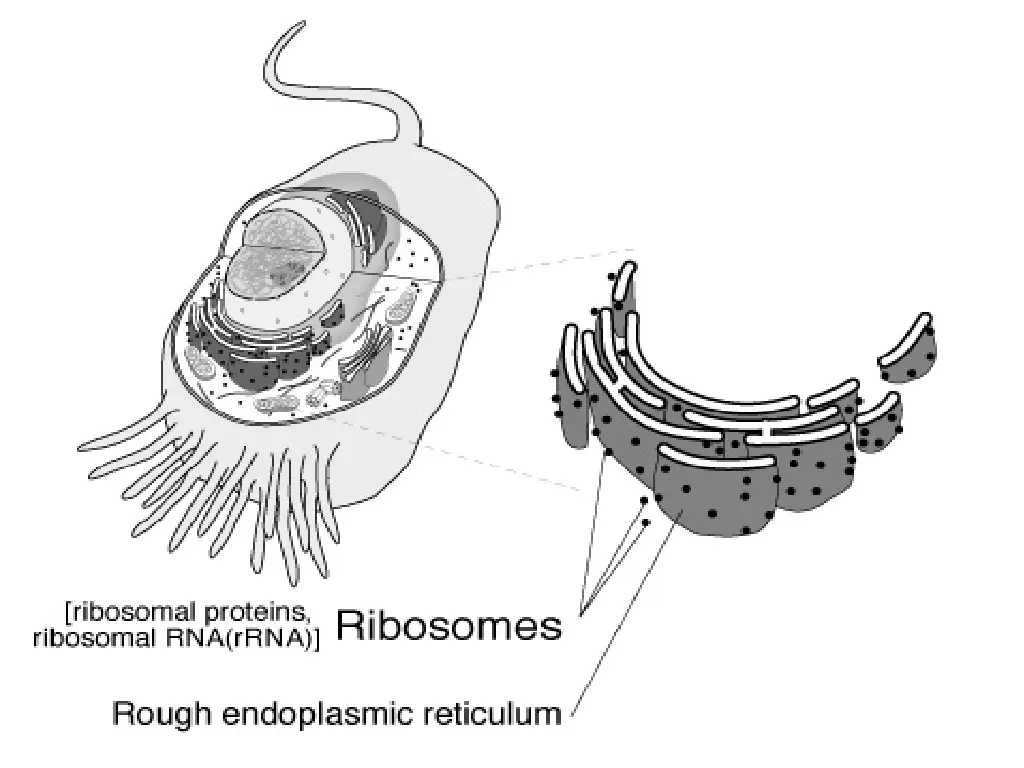 slide39