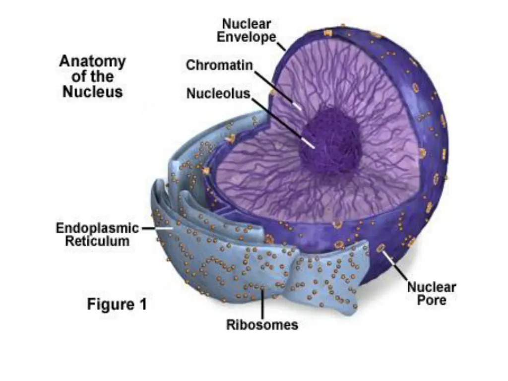 slide47