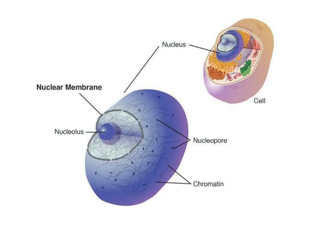 slide49