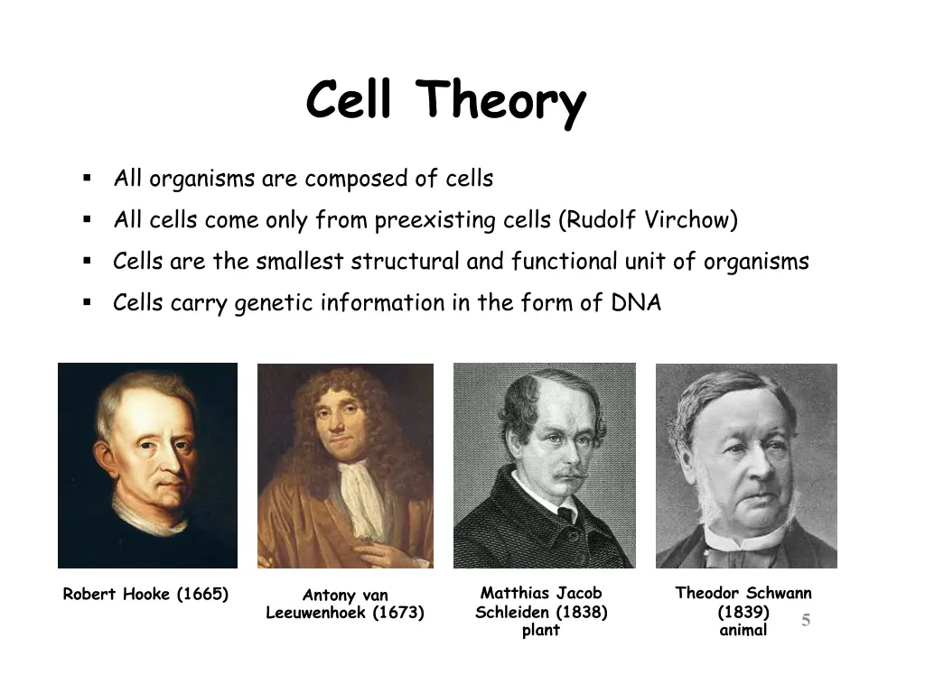 slide5
