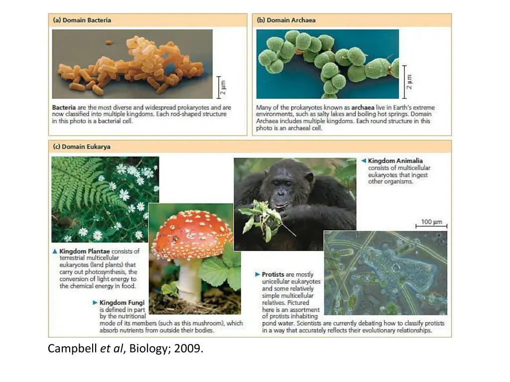 slide9