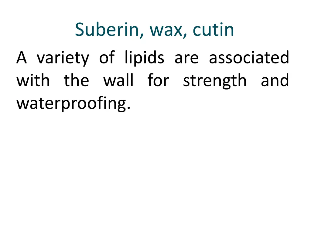 suberin wax cutin a variety of lipids