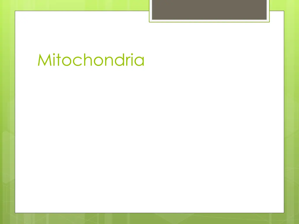 mitochondria