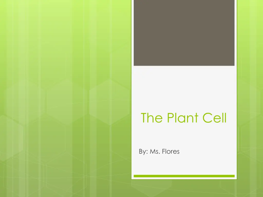 the plant cell