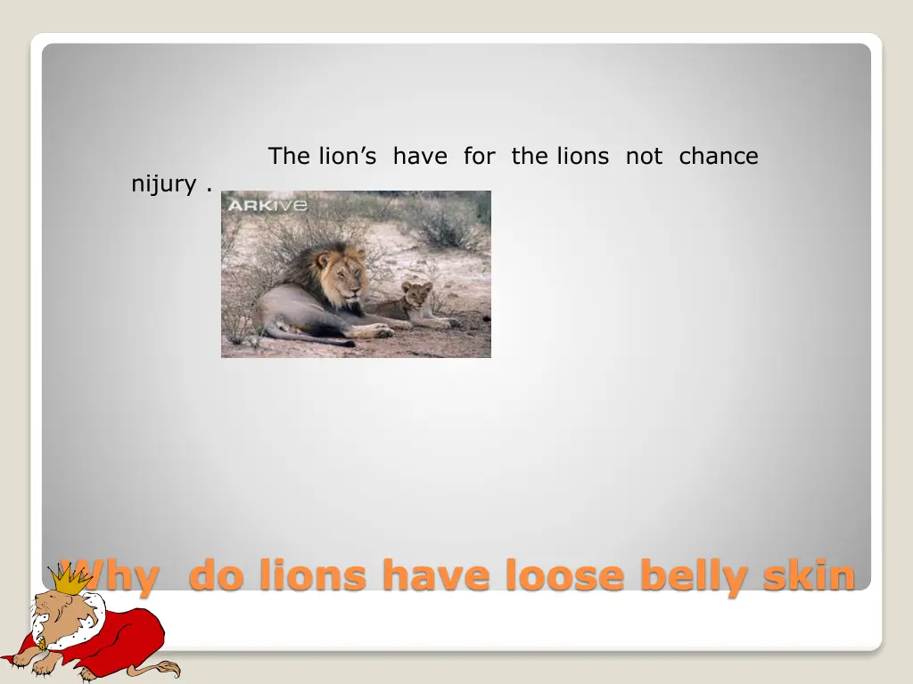 the lion s have for the lions not chance