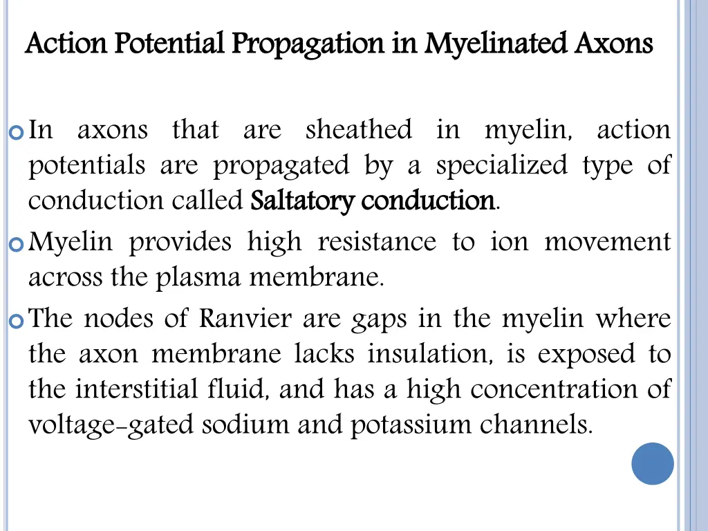 action potential propagation in