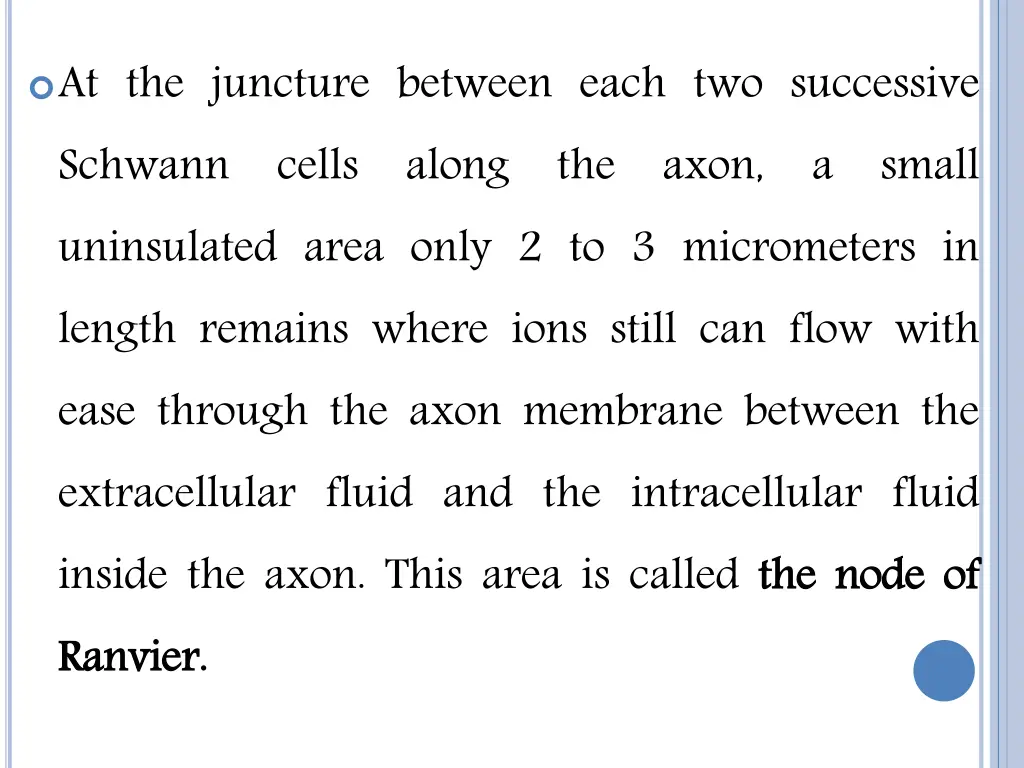 at the juncture between each two successive
