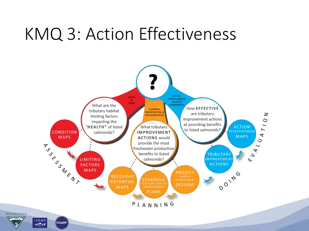 kmq 3 action effectiveness