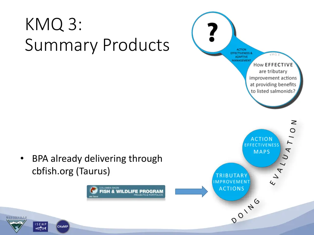 kmq 3 summary products
