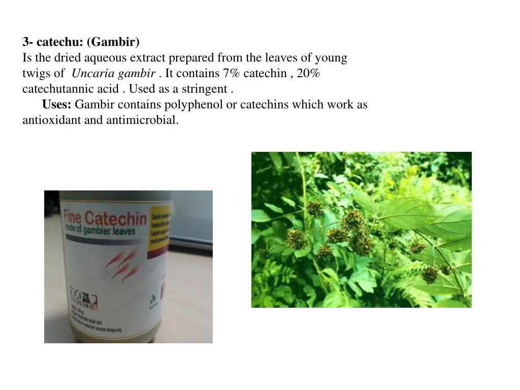 3 catechu gambir is the dried aqueous extract