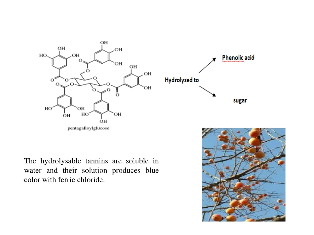 the hydrolysable tannins are soluble in water