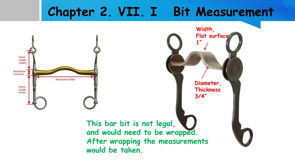 chapter 2 vii i bit measurement