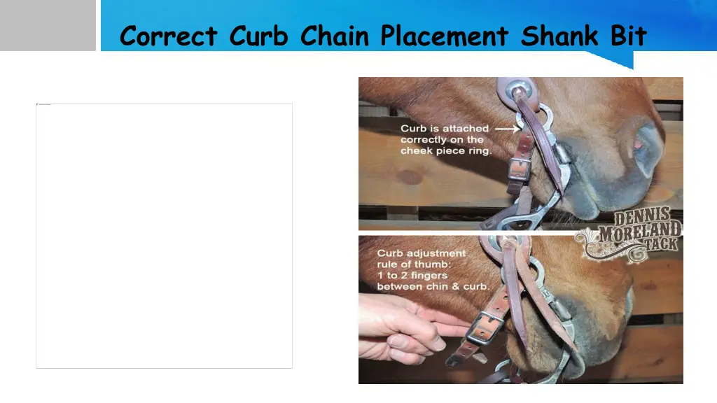 correct curb chain placement shank bit