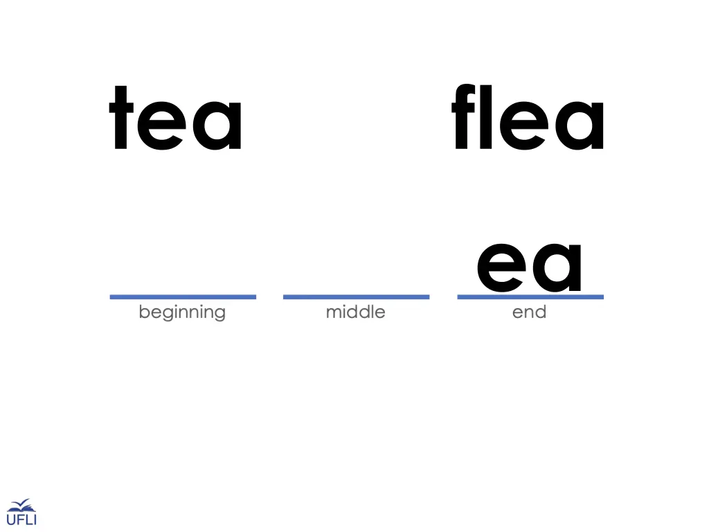 slide12