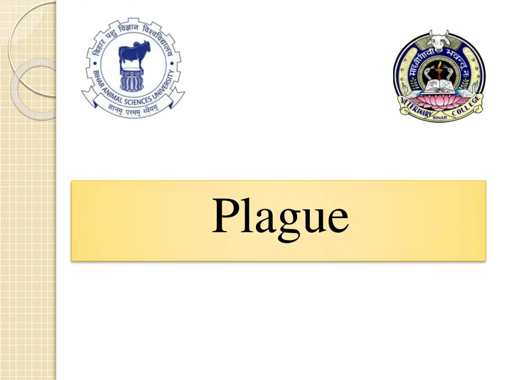 plague
