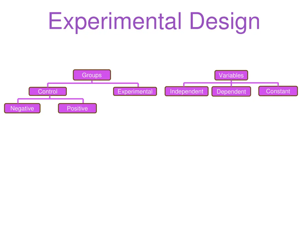 experimental design