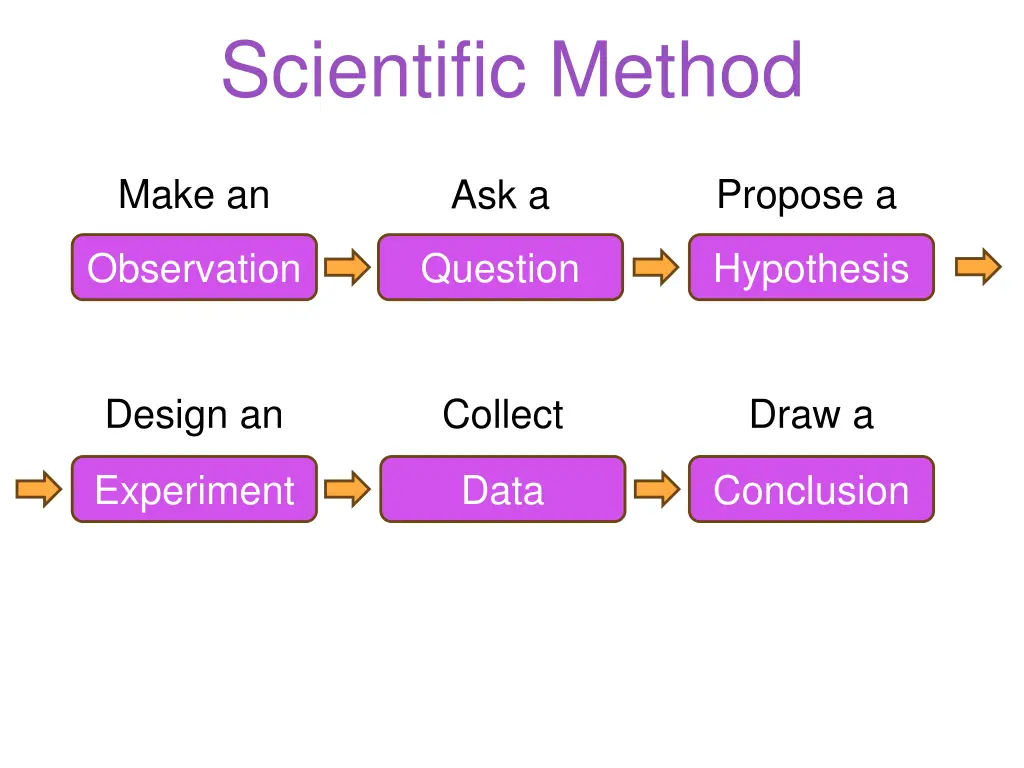scientific method 1