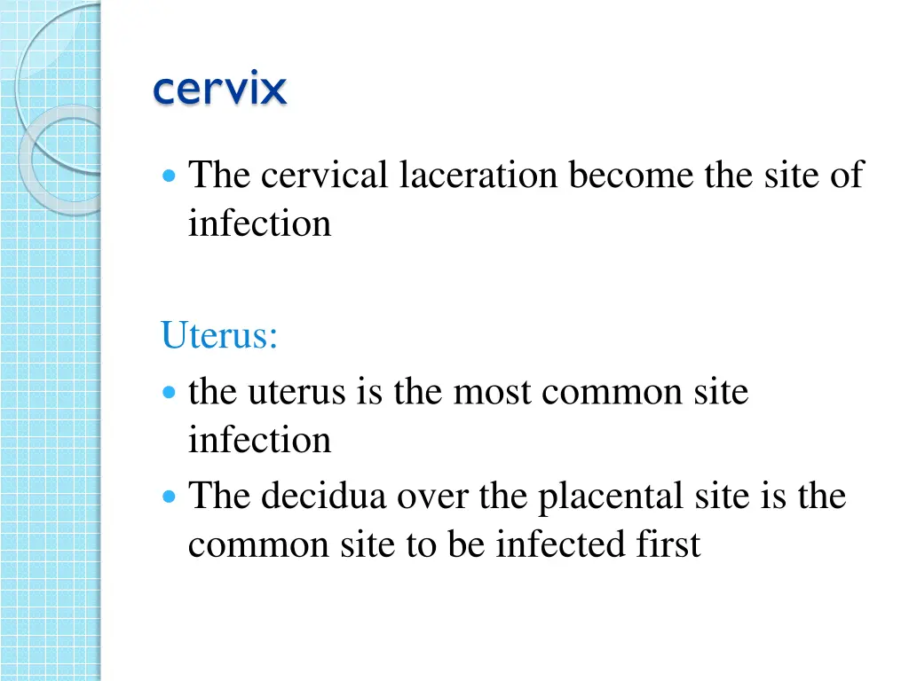 cervix