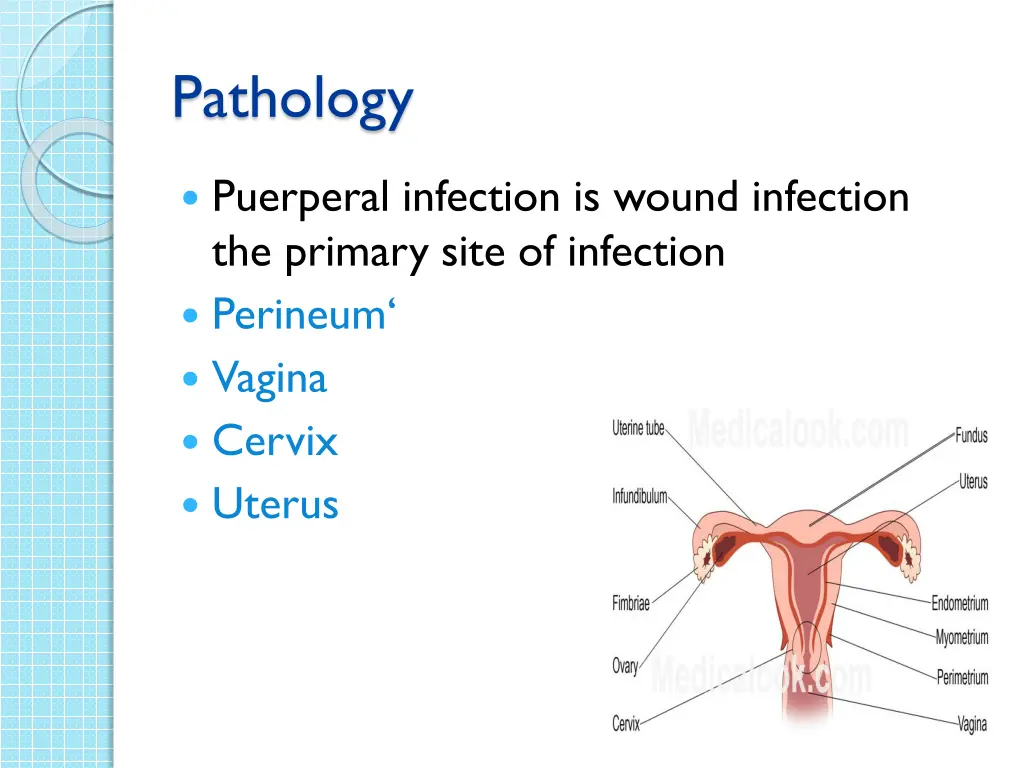 pathology