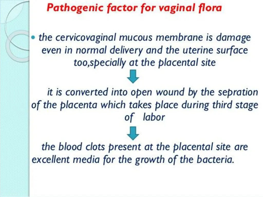 slide21