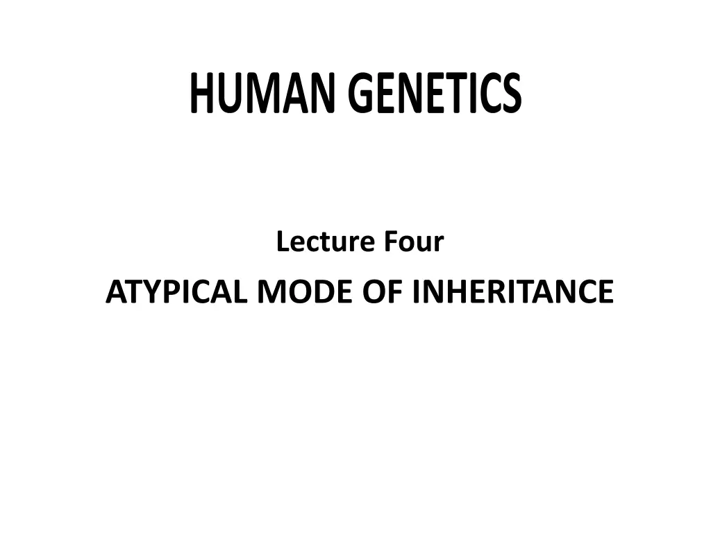 lecture four